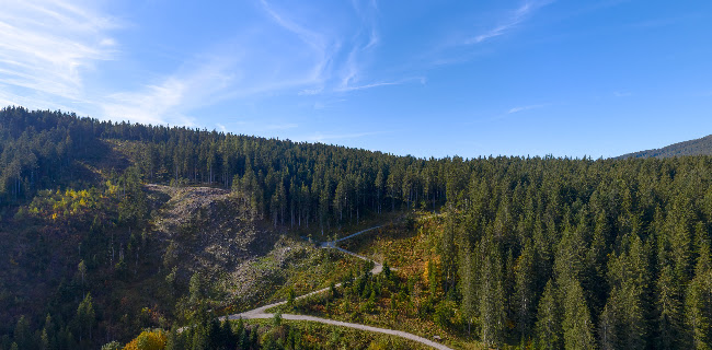 Waldschenke Ramsau - Ramsau am Dachstein