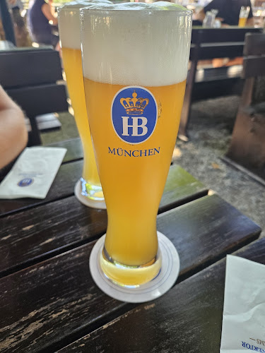 Comentarii opinii despre Hofbräu am Steinertor