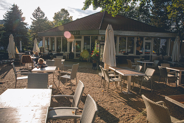 VOLEE - Club • Cafe • Restaurant