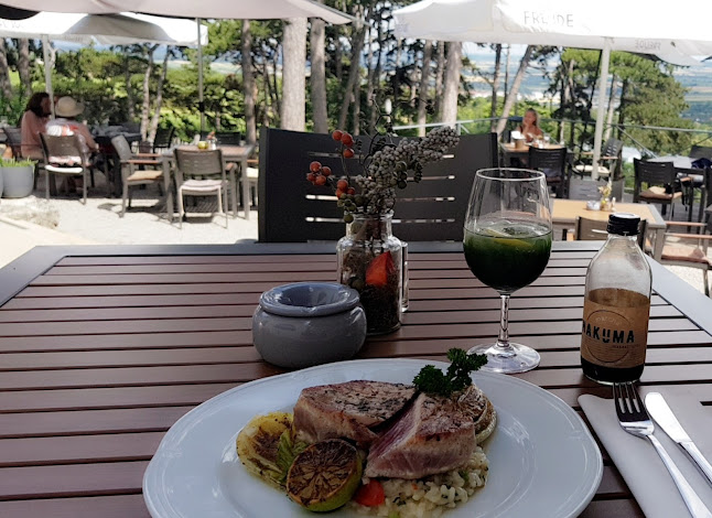 Glorietteallee 51, 7000 Eisenstadt