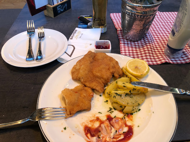 Comentarii opinii despre Baumbar