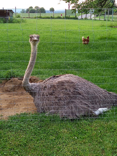 Gasthaus z Tenne - Bad Tatzmannsdorf