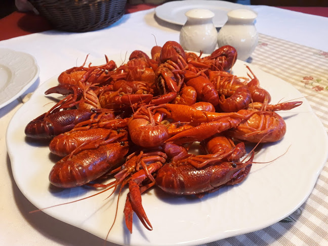 Adlerhütte Bergrestaurant