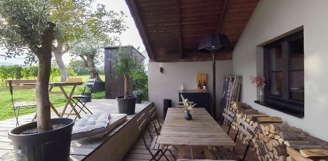 Comentarii opinii despre Franz von Grün