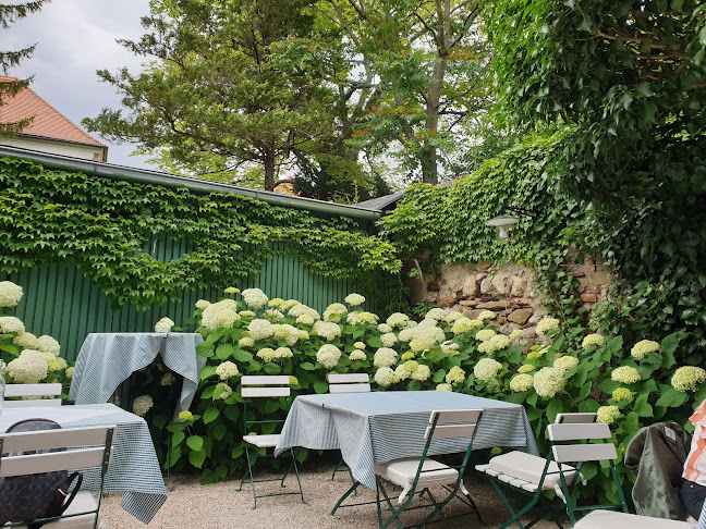 Comentarii opinii despre Pfarrwirt