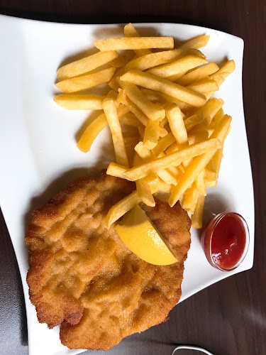 Belvederegasse 17, 1040 Wien