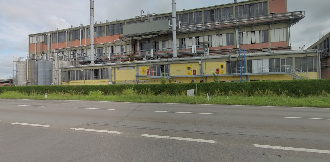 EL PASO Pizzeria, Restaurant & Cafe