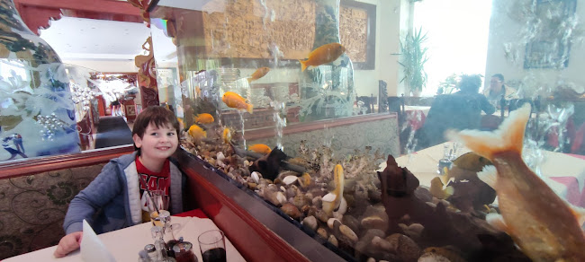 China-Restaurant Panda - Lustenau