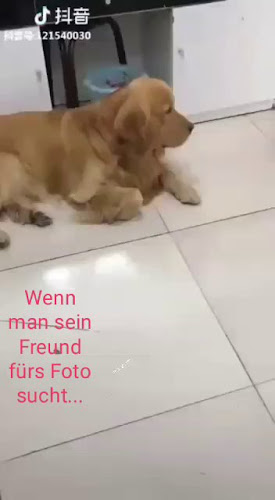 Opinii despre Zum Heiligen Josef în Innere Stadt - Gastronomie und Hotellerie