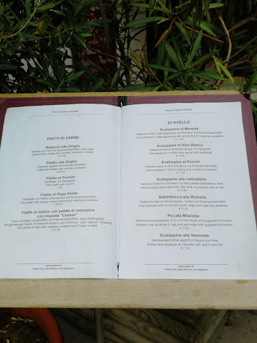 Opinii despre Pizzeria Trattoria Salieri în Wien - Gastronomie und Hotellerie