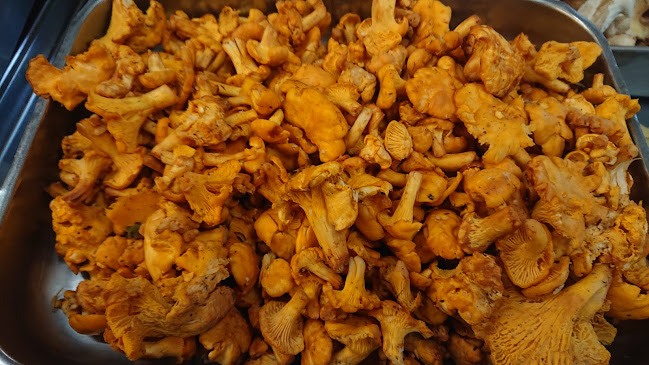 Gasthof Lendl - Gastronomie und Hotellerie