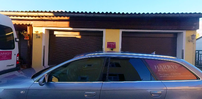 Genuss & Technik GmbH