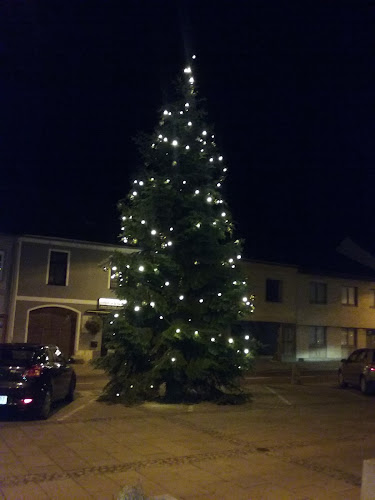 Opinii despre Ehpo Eventmanagement OG în Neusiedl am See - Gastronomie und Hotellerie