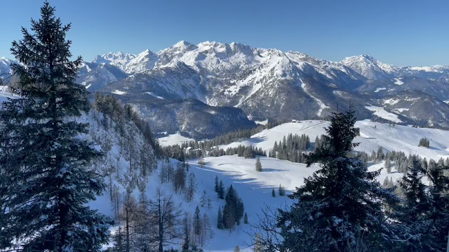 Comentarii opinii despre go-gosau Alm