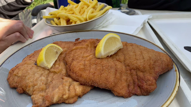 Schnitzel-Bär Hohenems