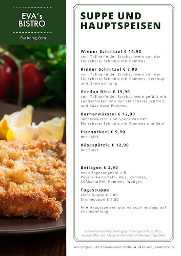 Universitäts- und Forschungszentrum Tulln, Konrad-Lorenz-Straße 24, 3430 Tulln an der Donau