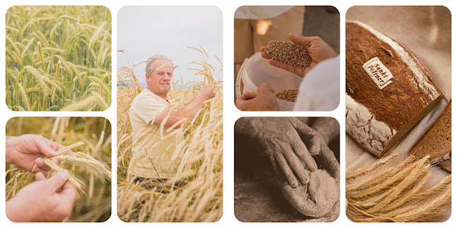 Comentarii opinii despre Bäckerei Hager Tulln