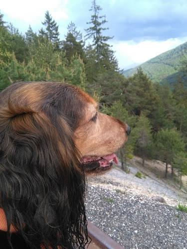 BLEI PUB - Bad Bleiberg