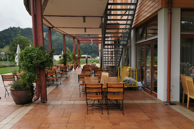 Mochoritsch Griffen-Rast