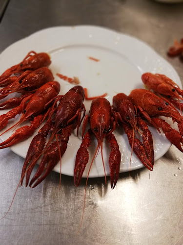 Adlerhütte Bergrestaurant - Gastronomie und Hotellerie