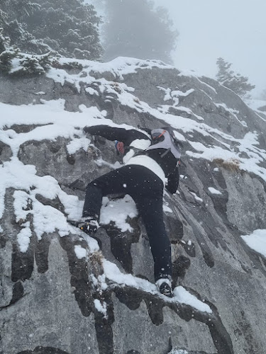 Bärenbadalm Pertisau (Karwendel) - Gastronomie und Hotellerie