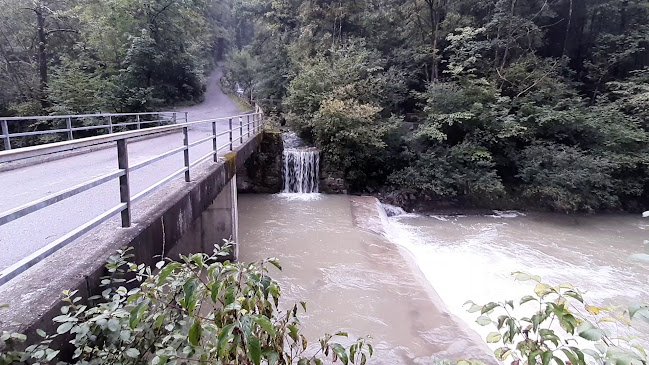 Comentarii opinii despre Conrad Sohm