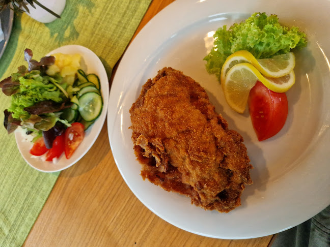 Wr. Str. 2, 3580 Horn