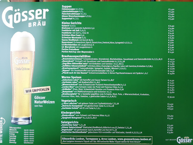 Turmgasse 3, 8700 Leoben