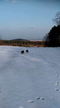 Richardhof - Gumpoldskirchen