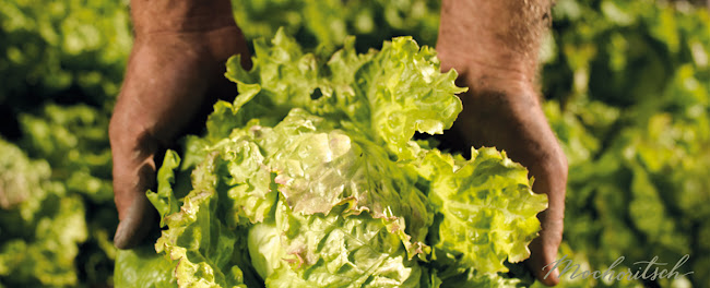 Mochoritsch Griffen-Rast - Gastronomie und Hotellerie