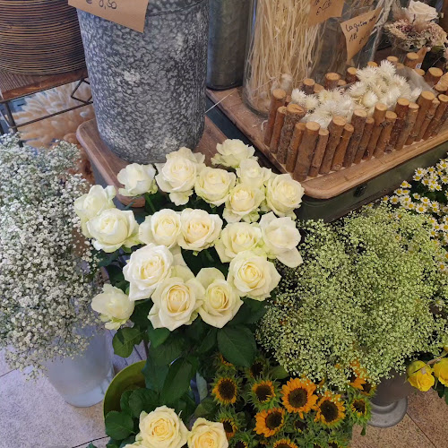 Kaiser-Josef-Platz 8010, 8010 Graz