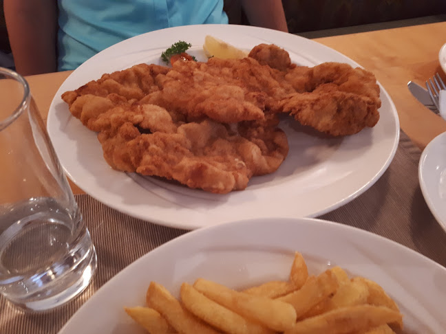 Opinii despre Haydnbräu în Eisenstadt - Gastronomie und Hotellerie