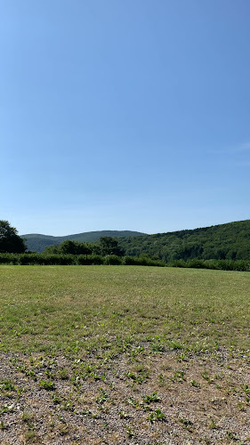 Opinii despre Gasthaus Steinerhof în Pressbaum - Gastronomie und Hotellerie