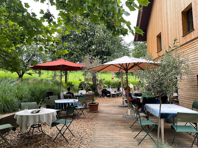 Opinii despre Spitzwirtin în Scharten - Gastronomie und Hotellerie