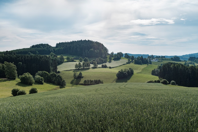 Wiener Str. 13, 4481 Asten