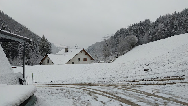 Opinii despre Felbauer Bäckerei în Laussa - Gastronomie und Hotellerie