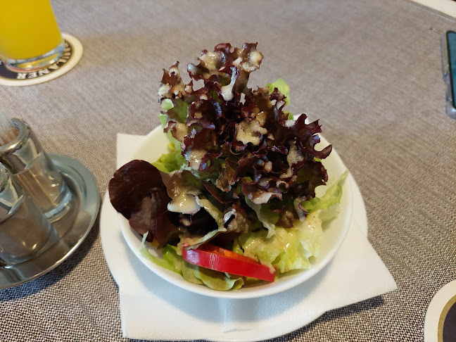 Gasthof Alpenblick - Pflach