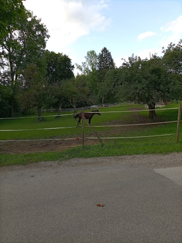 Bäckerei Tengg GmbH - Gastronomie und Hotellerie