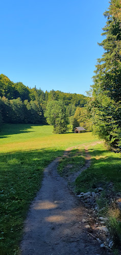 Opinii despre Gasthaus Franzl im Holz în Gmunden - Gastronomie und Hotellerie
