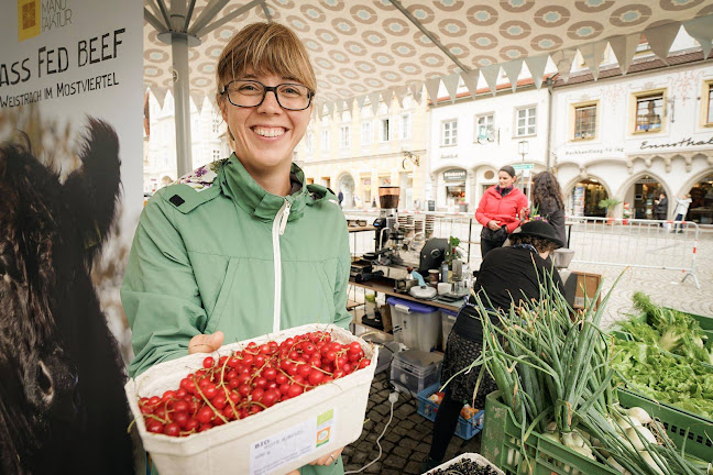 Opinii despre Wochenmarkt & Stadtplatz LEO în Steyr - Gastronomie und Hotellerie