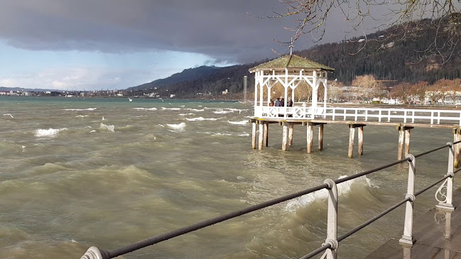 Opinii despre Fischersteg - Sunset Bar - Bregenz în Bregenz - Gastronomie und Hotellerie