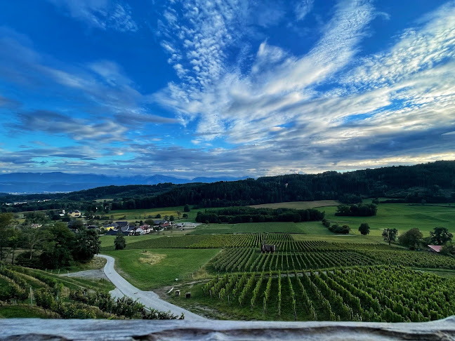Restaurant & Stadtheuriger Leiten - Klagenfurt am Wörthersee