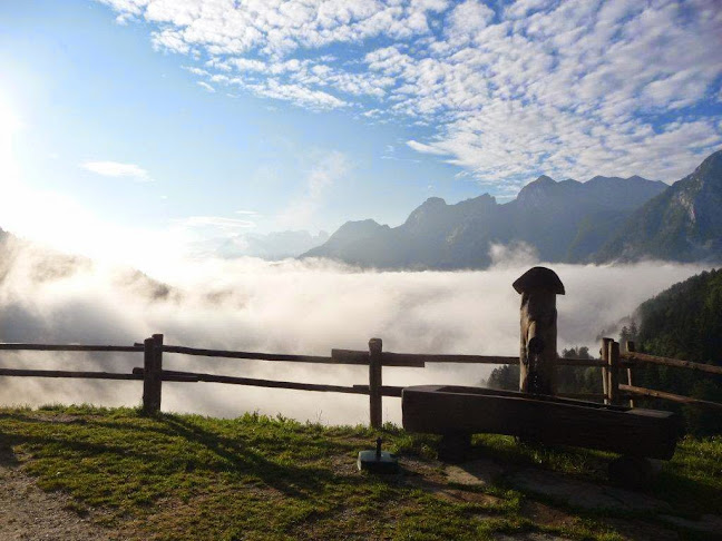 Rocheralm - Scheffau am Tennengebirge