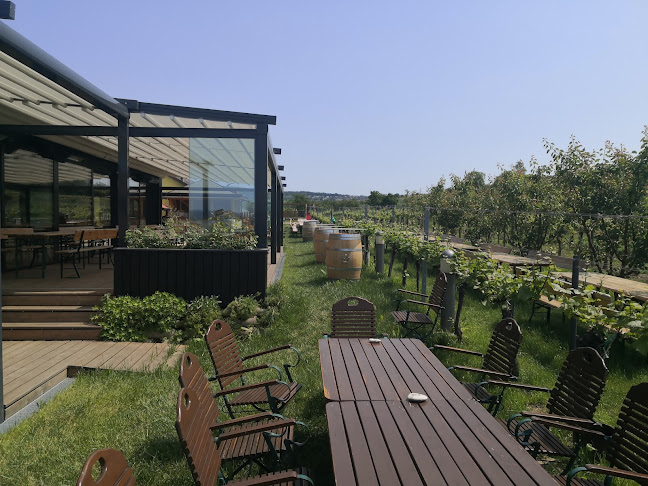 Schweren-Zapfen-Weg, 3511 Krems an der Donau