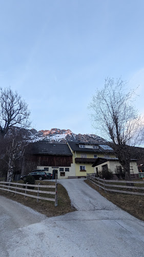 Comentarii opinii despre Haus Adler