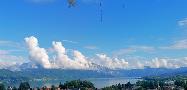 Terrassencafe Koberger - Gastronomie und Hotellerie