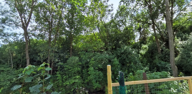 Gößbach Stüberl - Trofaiach