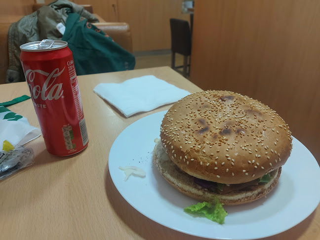 Leonhardstraße 42, 8010 Graz