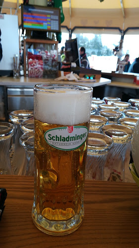 Gasselhöh-Hütte, 8973 Schladming