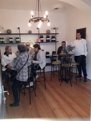 Comentarii opinii despre Karnerhof´s Weinbar